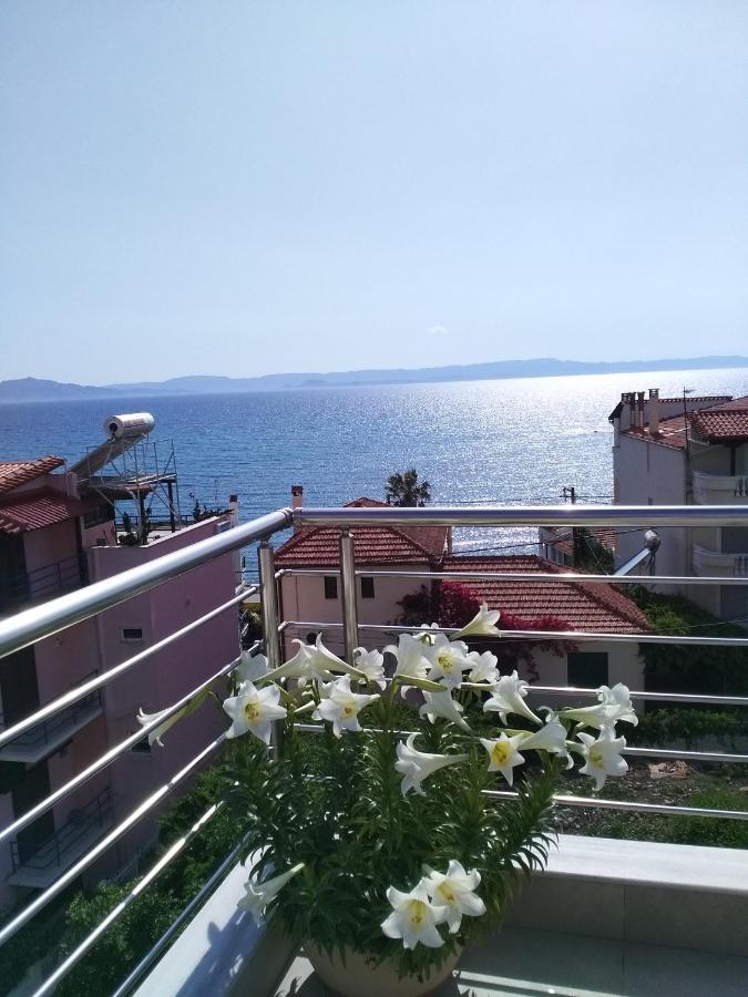 Alkioni'S Nest Apartments Αρκούδι Εξωτερικό φωτογραφία
